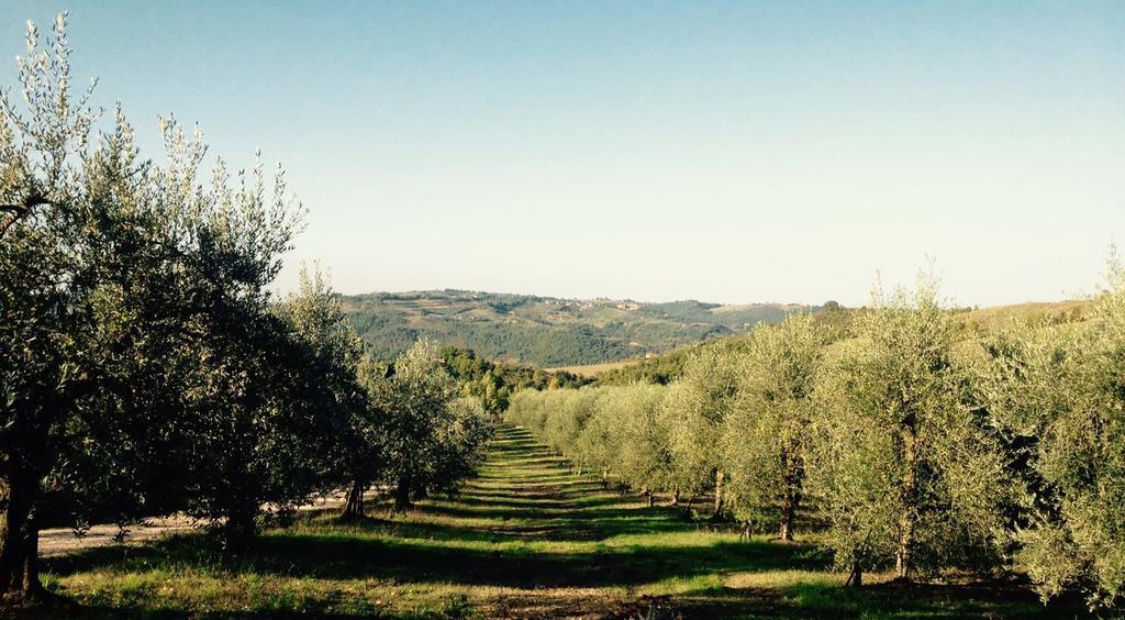 Podere Le Corone Villa Monte Castello di Vibio Eksteriør bilde
