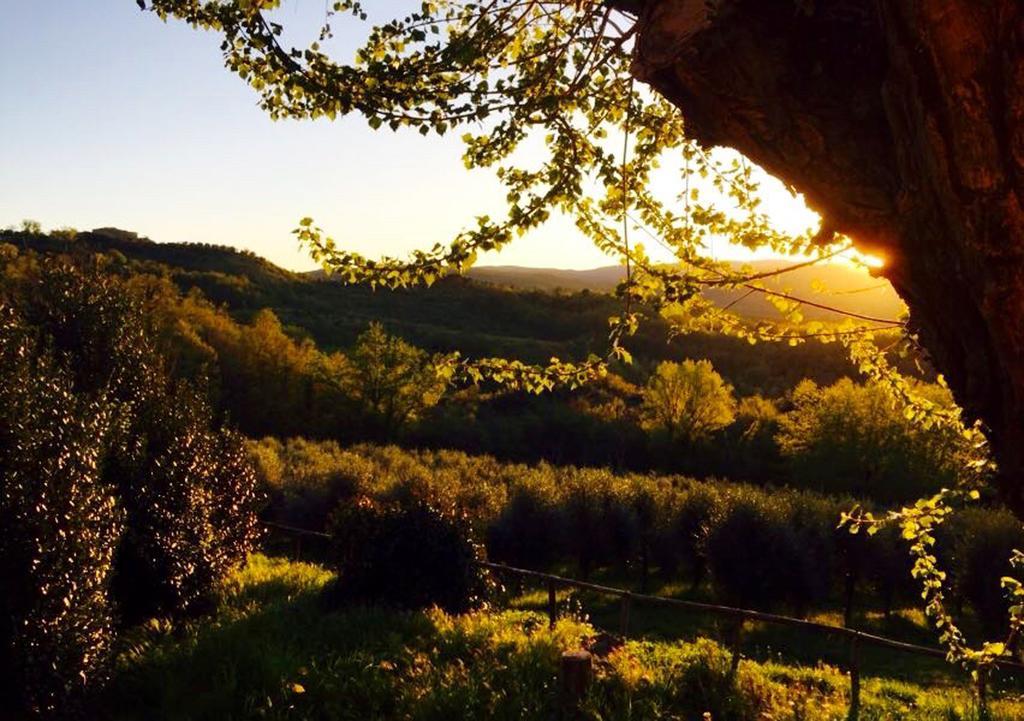 Podere Le Corone Villa Monte Castello di Vibio Eksteriør bilde
