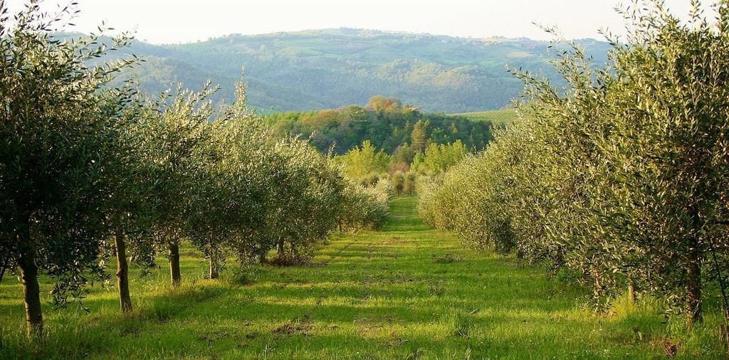 Podere Le Corone Villa Monte Castello di Vibio Eksteriør bilde